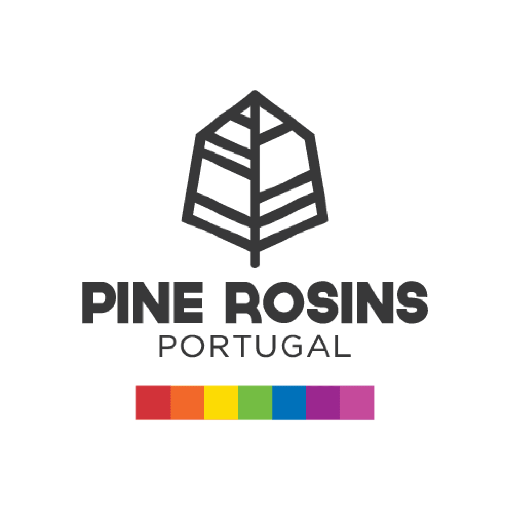 Logótipo KEMI - PINE ROSINS PORTUGAL, S.A.