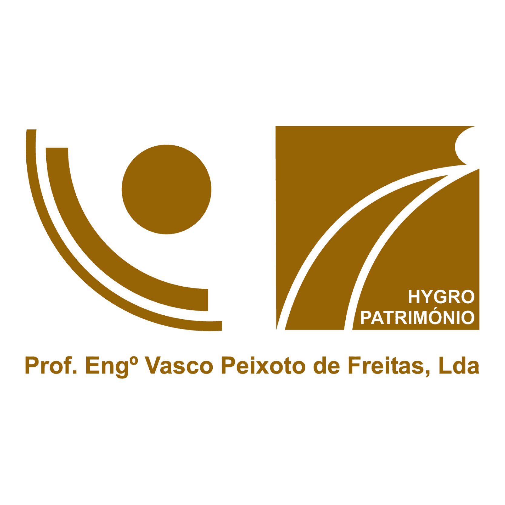 Logótipo PROFESSOR ENGENHEIRO VASCO PEIXOTO DE FREITAS, LDA