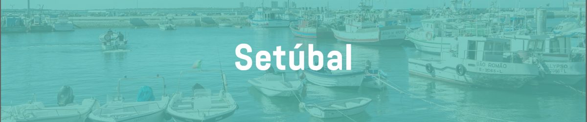 bannerSetubal bannerSetubal