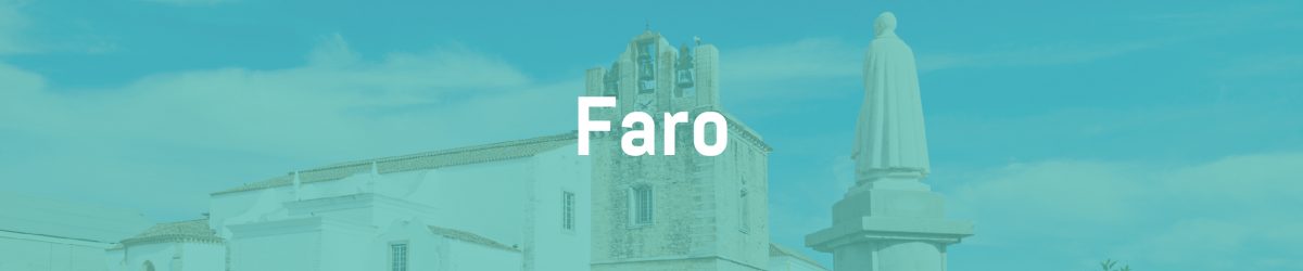 bannerfaro bannerfaro