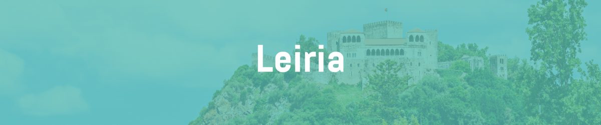 bannerleiria bannerleiria