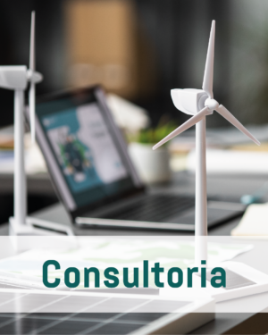 Imagens-02