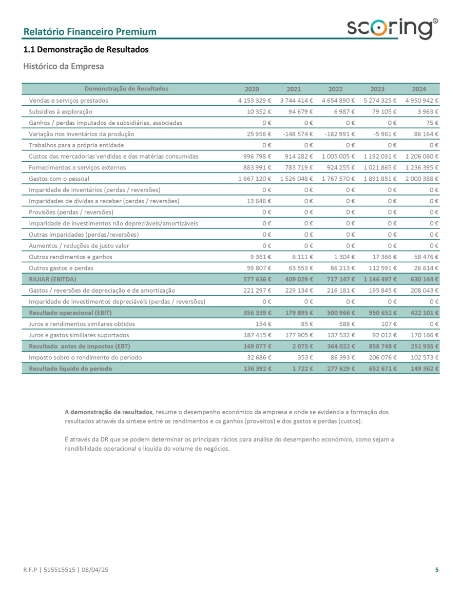 Relatório Financeiro Premium-01