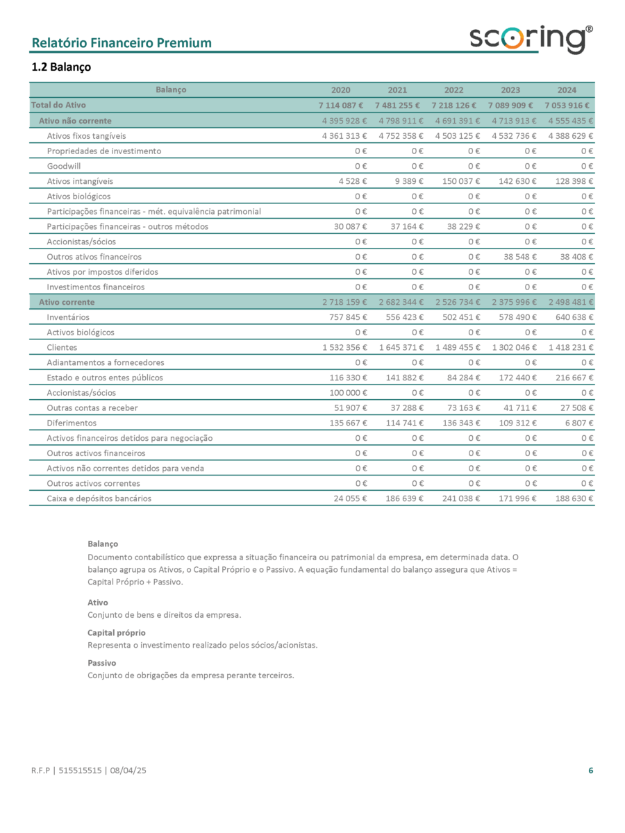 Relatório Financeiro Premium-02