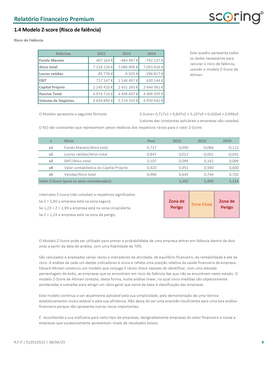 Relatório Financeiro Premium-04