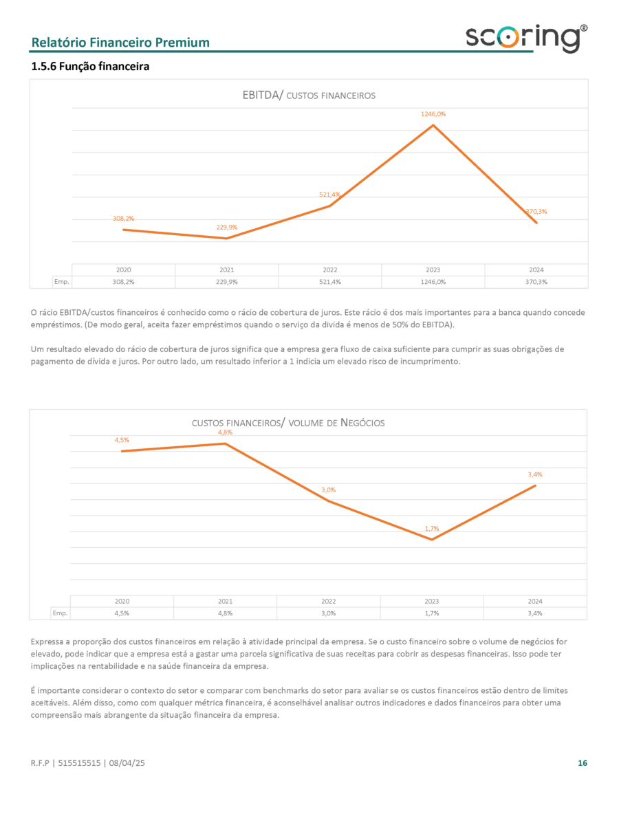 Relatório Financeiro Premium-08
