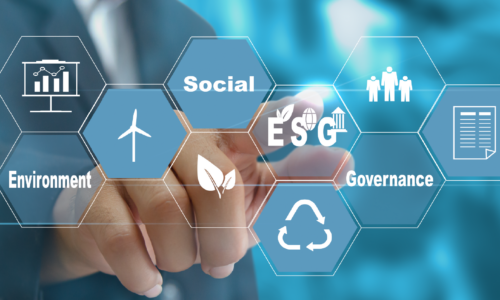 imagens workshop medida-07 imagens workshop medida-07